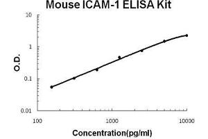 Mouse ICAM-1 PicoKine ELISA Kit standard curve