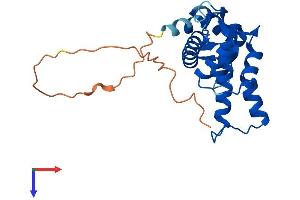 Grancalcin Protein (AA 1-217) (His tag)