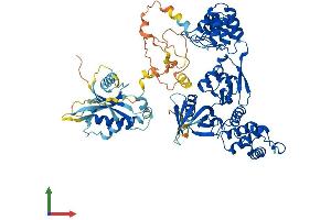 Protein Structure (PS) image for KRIT1, Ankyrin Repeat Containing (KRIT1) (AA 1-736) protein (His tag) (ABIN7564147)