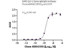 SARS-CoV-2 Spike IgG/IgM Antibody (AM043105) tested by ELISA using SARS Spike protein ECD. (Rekombinanter SARS-CoV-2 Spike IgG/IgM Antikörper)