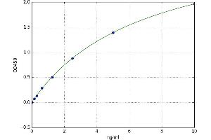 Myosin Light Chain Kinase (MYLK) ELISA Kit