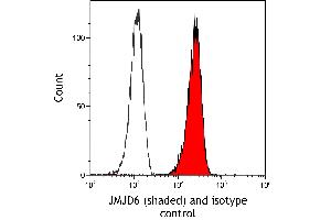 Flow Cytometry (FACS) image for anti-Jumonji Domain Containing 6 (JMJD6) (AA 125-175) antibody (ABIN7795645)