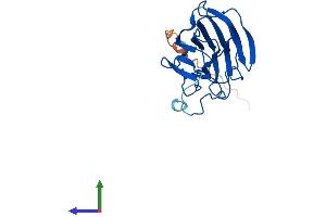 AlphaFold protein structure predicition of Human Recombinant SPRYD4 Protein, UniprotID Q8WW59