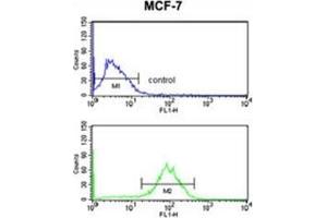 Flow cytometry analysis of MCF-7 cells using Destrin Antibody (bottom histogram) compared to a negative control cell (top histogram). (Destrin Antikörper  (Middle Region))