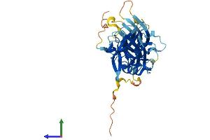 Protein Structure (PS) image for S-Antigen, Retina and Pineal Gland (Arrestin) (SAG) (AA 1-405) protein (His tag) (ABIN7552425)