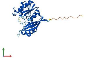 Protein Structure (PS) image for ATP Binding Domain 4 (ATPBD4) (AA 1-267) protein (His tag) (ABIN7560505)