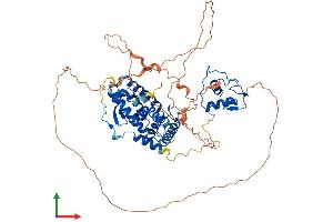 Protein Structure (PS) image for Nuclear Receptor Subfamily 4, Group A, Member 1 (NR4A1) (AA 1-598) protein (His tag) (ABIN7549904)