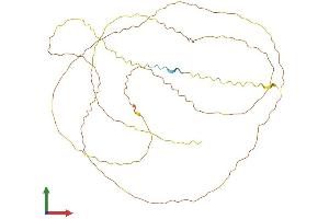 Protein Structure (PS) image for High Mobility Group Nucleosome Binding Domain 5 (HMGN5) (AA 1-406) protein (His tag) (ABIN7561665)
