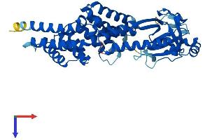 TTC5 Protein (AA 1-440) (His tag)
