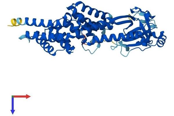 TTC5 Protein (AA 1-440) (His tag)