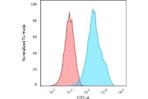Flow Cytometric Analysis of Raji cells using CD20 Mouse Recombinant Monoclonal Antibody (rIGEL/773) followed by Goat anti-Mouse IgG-CF488 (Blue); Isotype Control (Red). (Rekombinanter CD20 Antikörper)