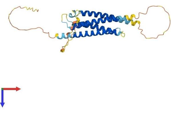 RGS7BP Protein (AA 1-257) (His tag)