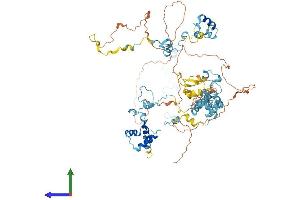 AlphaFold protein structure predicition of Human Recombinant EFHB Protein, UniprotID Q8N7U6