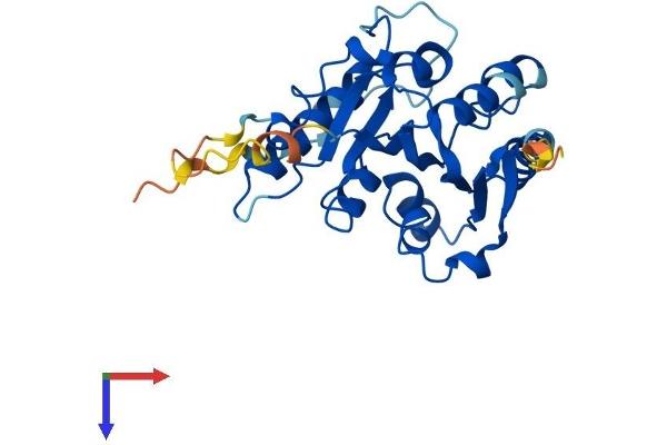METTL1 Protein (AA 1-268) (His tag)