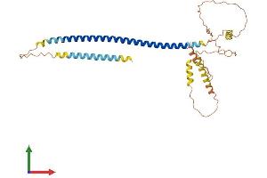Protein Structure (PS) image for Coiled-Coil Domain Containing 54 (CCDC54) (AA 1-329) protein (His tag) (ABIN7561230)