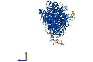 Protein Structure (PS) image for Phospholipase D2 (PLD2) (AA 1-933) protein (His tag) (ABIN7550805)