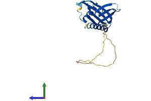 Protein Structure (PS) image for Integrin beta 1 Binding Protein 1 (ITGB1BP1) (AA 1-200) protein (His tag) (ABIN7554226)