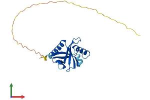 Protein Structure (PS) image for Integrin beta 1 Binding Protein 1 (ITGB1BP1) (AA 1-200) protein (His tag) (ABIN7562357)