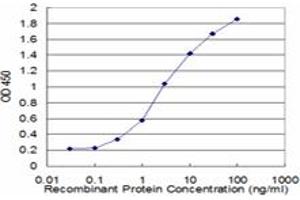 Detection limit for recombinant GST tagged FOXC2 is approximately 0. (FOXC2 Antikörper  (AA 421-501))