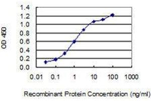 Detection limit for recombinant GST tagged KIF5B is 0. (KIF5B Antikörper  (AA 864-962))