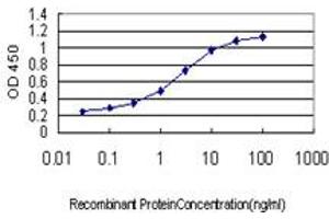 Detection limit for recombinant GST tagged NEK10 is approximately 0.