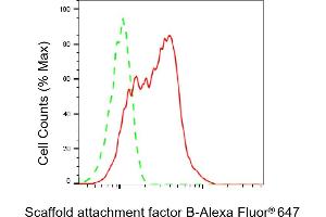 Flow cytometric analysis of Scaffold attachment factor B expression in HeLa cells using Scaffold attachment factor B antibody (ABIN7800275), 1:2,000). (Rekombinanter SAFB Antikörper)
