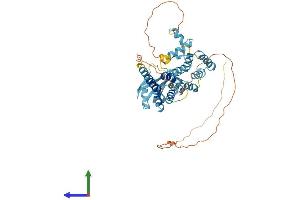 Protein Structure (PS) image for Paraneoplastic Ma Antigen Family Member 5 (PNMA5) (AA 1-448) protein (His tag) (ABIN7550835)