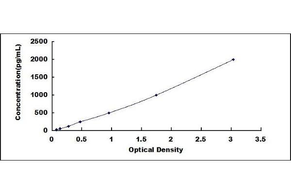 HMOX1 ELISA Kit