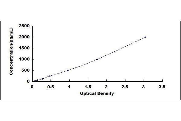 HMOX1 ELISA Kit