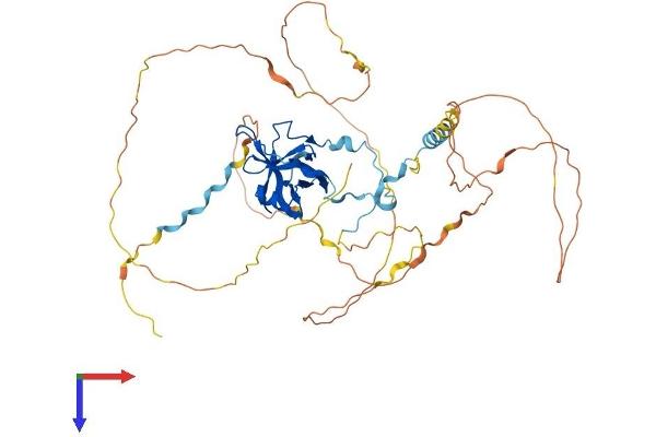 NAF1 Protein (AA 1-494) (His tag)