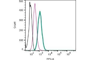 Cell surface detection of CD81 by direct flow cytometry in live intact mouse  microglia cell line: + Rabbit IgG Isotype Control-FITC (ABIN7582044). (CD81 Antikörper  (Extracellular) (FITC))
