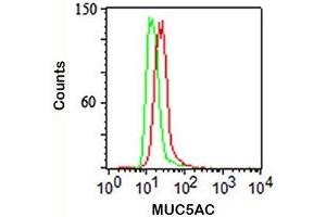 Intracellular flow cytometry staining of A549 cells using MUC5AC antibody (red) and isotype control (green).