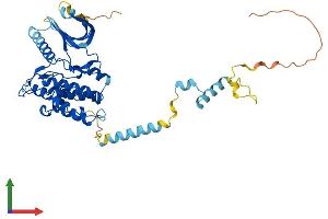 Protein Structure (PS) image for phosphorylase Kinase, gamma 2 (Testis) (PHKG2) (AA 1-406) protein (His tag) (ABIN7561257)
