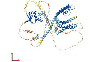 AlphaFold protein structure predicition of Mouse Recombinant Kcnd1 Protein, UniprotID Q03719 (KCND1 Protein (AA 1-651) (His tag))