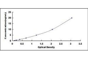 Typical standard curve (CCRN4L ELISA Kit)