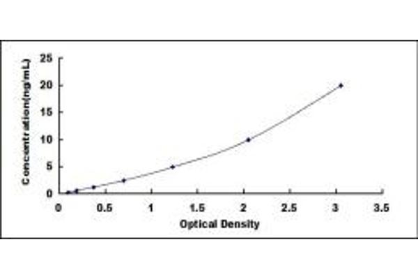 CCRN4L ELISA Kit