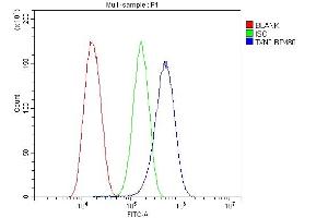 Flow Cytometry analysis of U87 cells using anti-TXN2 antibody (ABIN7602150). (TXN2 Antikörper  (AA 60-166))