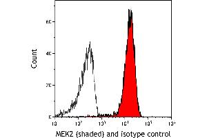 anti-Mitogen-Activated Protein Kinase Kinase 2 (MAP2K2) (AA 1-50) antibody