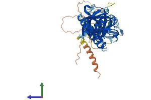 AlphaFold protein structure predicition of Mouse Recombinant Sntg1 Protein, UniprotID Q925E1