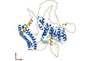 Protein Structure (PS) image for F-Box and Leucine-Rich Repeat Protein 5 (FBXL5) (AA 1-691) protein (His tag) (ABIN7553897)
