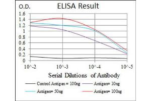 Red: Control Antigen (100ng) ; Purple: Antigen (10ng) ; Green: Antigen (50ng) ; Blue: Antigen (100ng). (MAP2 Antikörper  (AA 24-123))