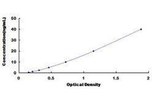 Pim-3 Oncogene (PIM3) ELISA Kit
