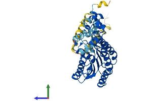 AlphaFold protein structure predicition of Human Recombinant HSD17B2 Protein, UniprotID P37059