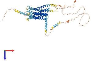 GPR176 Protein (AA 1-515) (His tag)