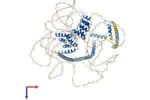 PPP1R12A Protein (AA 1-1030) (His tag)