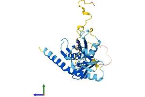 Protein Structure (PS) image for Exosome Component 6 (EXOSC6) (AA 1-272) protein (His tag) (ABIN7553849)