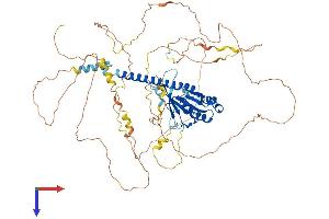 C9orf86 Protein (AA 1-729) (His tag)