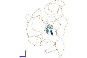 AlphaFold protein structure predicition of Mouse Recombinant Tchhl1 Protein, UniprotID Q9D3P1