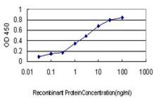 Detection limit for recombinant GST tagged GCSH is approximately 0. (GCSH Antikörper  (AA 1-173))