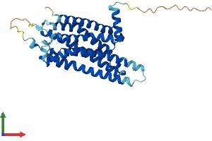 Protein Structure (PS) image for Adenosine A2b Receptor (ADORA2B) (AA 1-332) protein (His tag) (ABIN7557581)